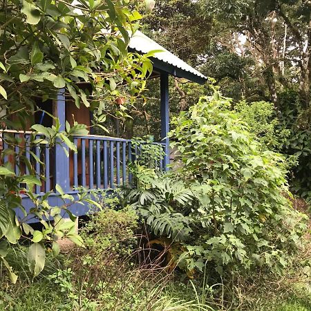 Hotel Casitas Rainy Days Monteverde Exterior foto